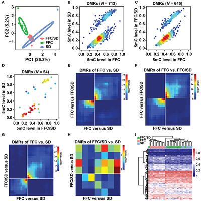 Diet-Dependent Changes of the DNA Methylome Using a Göttingen Minipig Model for Obesity